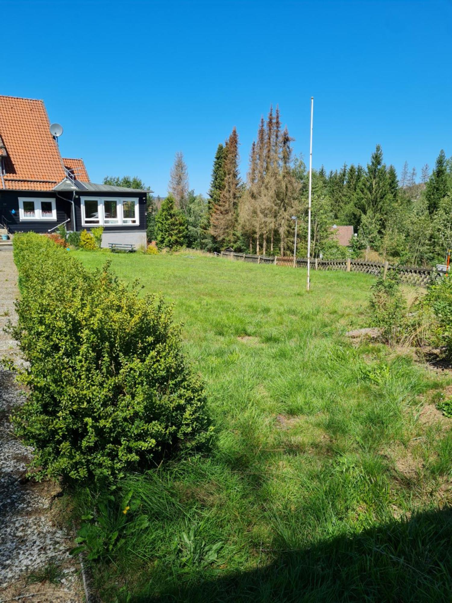 Welt Lodge Altenau  Zewnętrze zdjęcie
