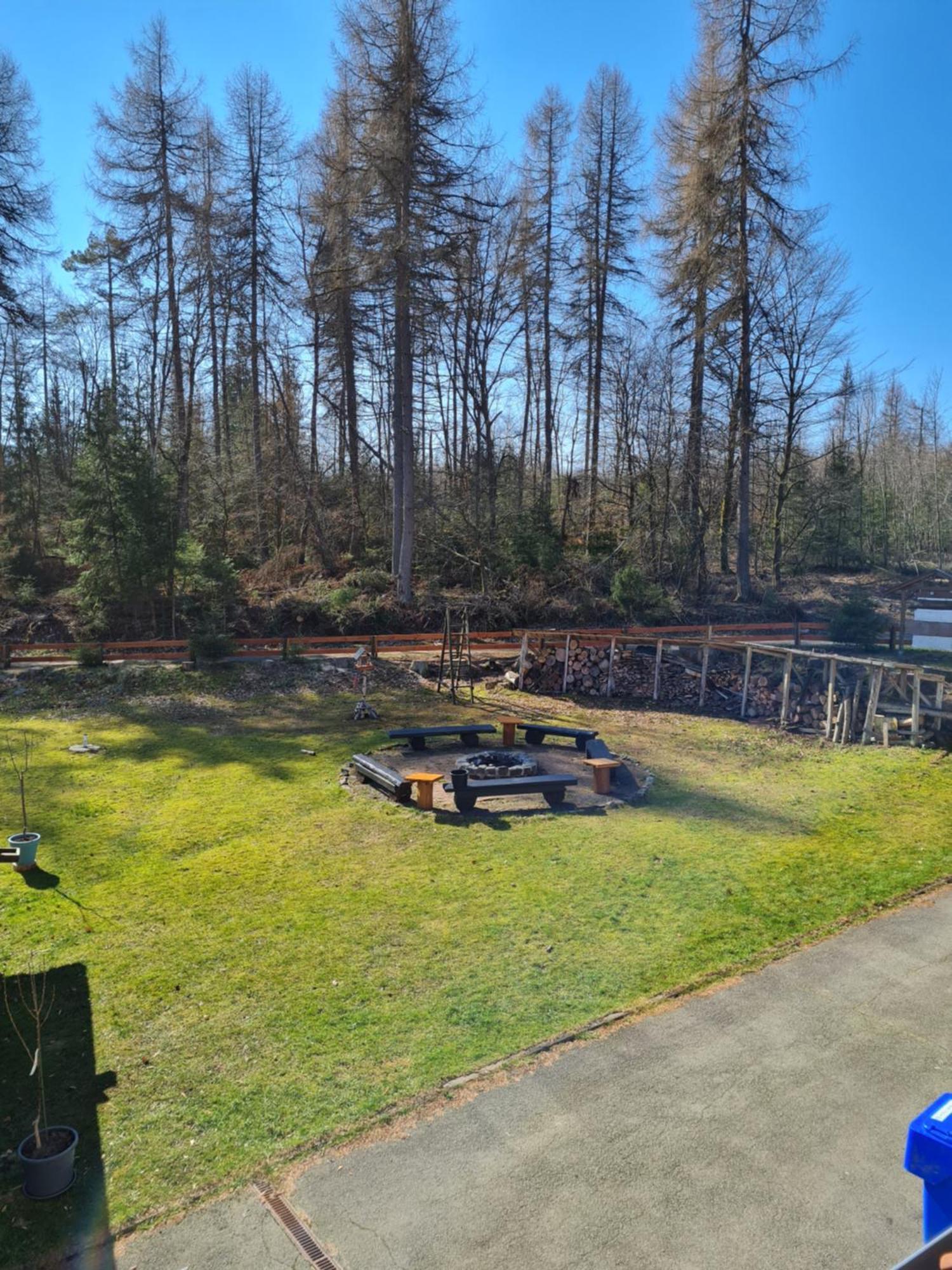Welt Lodge Altenau  Zewnętrze zdjęcie