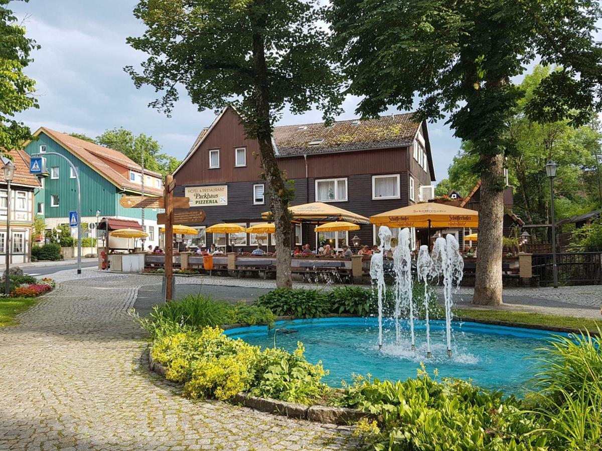 Welt Lodge Altenau  Zewnętrze zdjęcie
