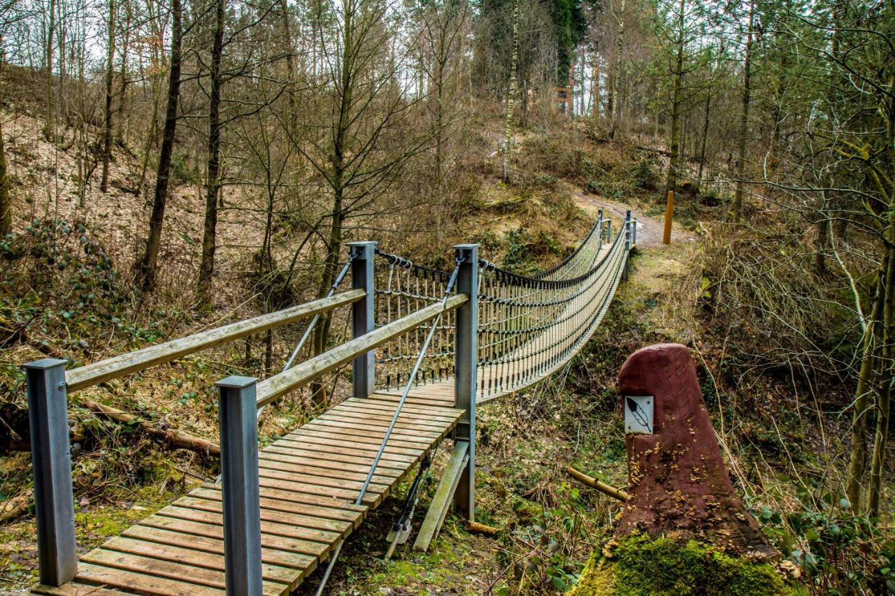 Welt Lodge Altenau  Zewnętrze zdjęcie