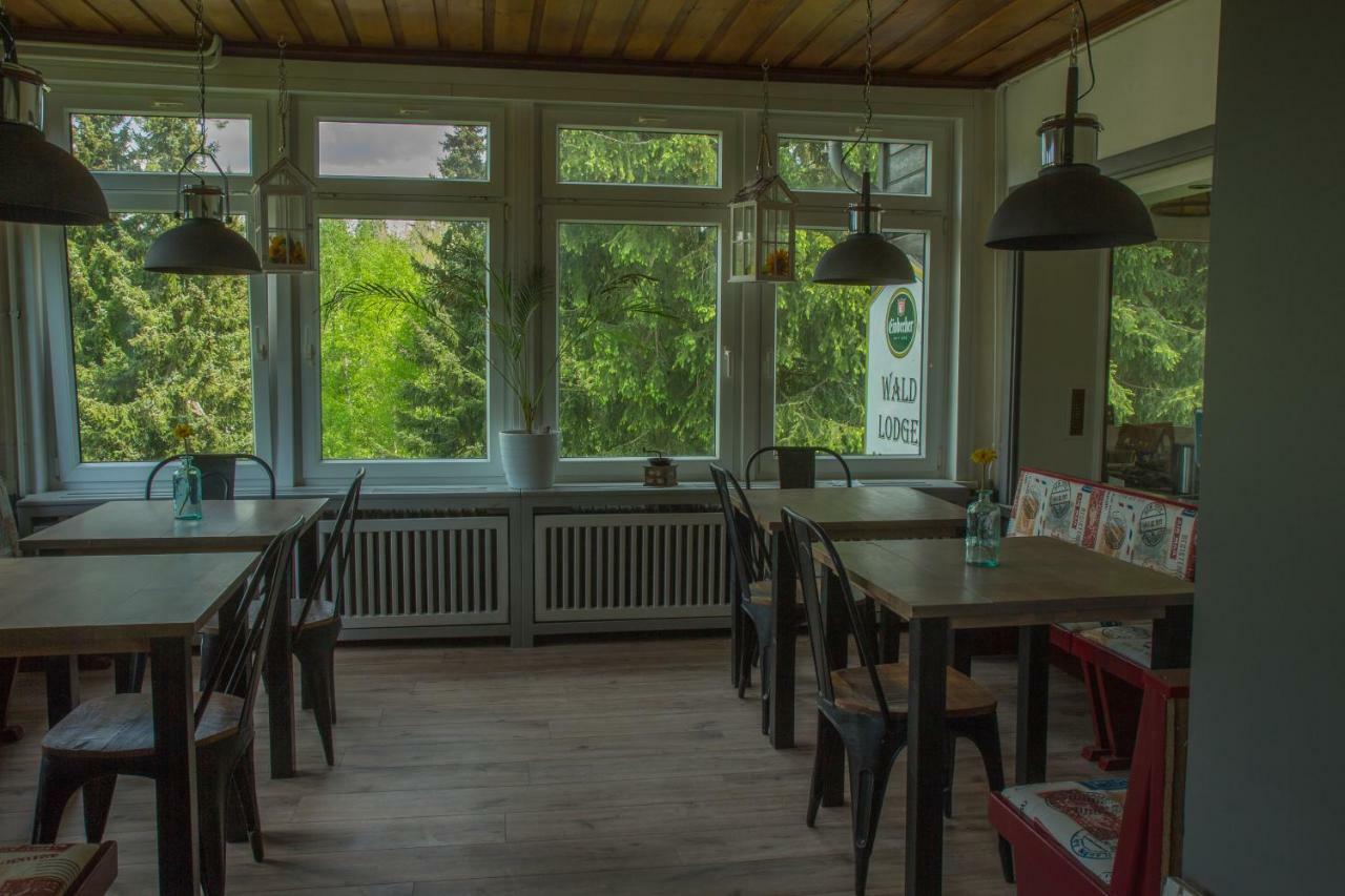 Welt Lodge Altenau  Zewnętrze zdjęcie