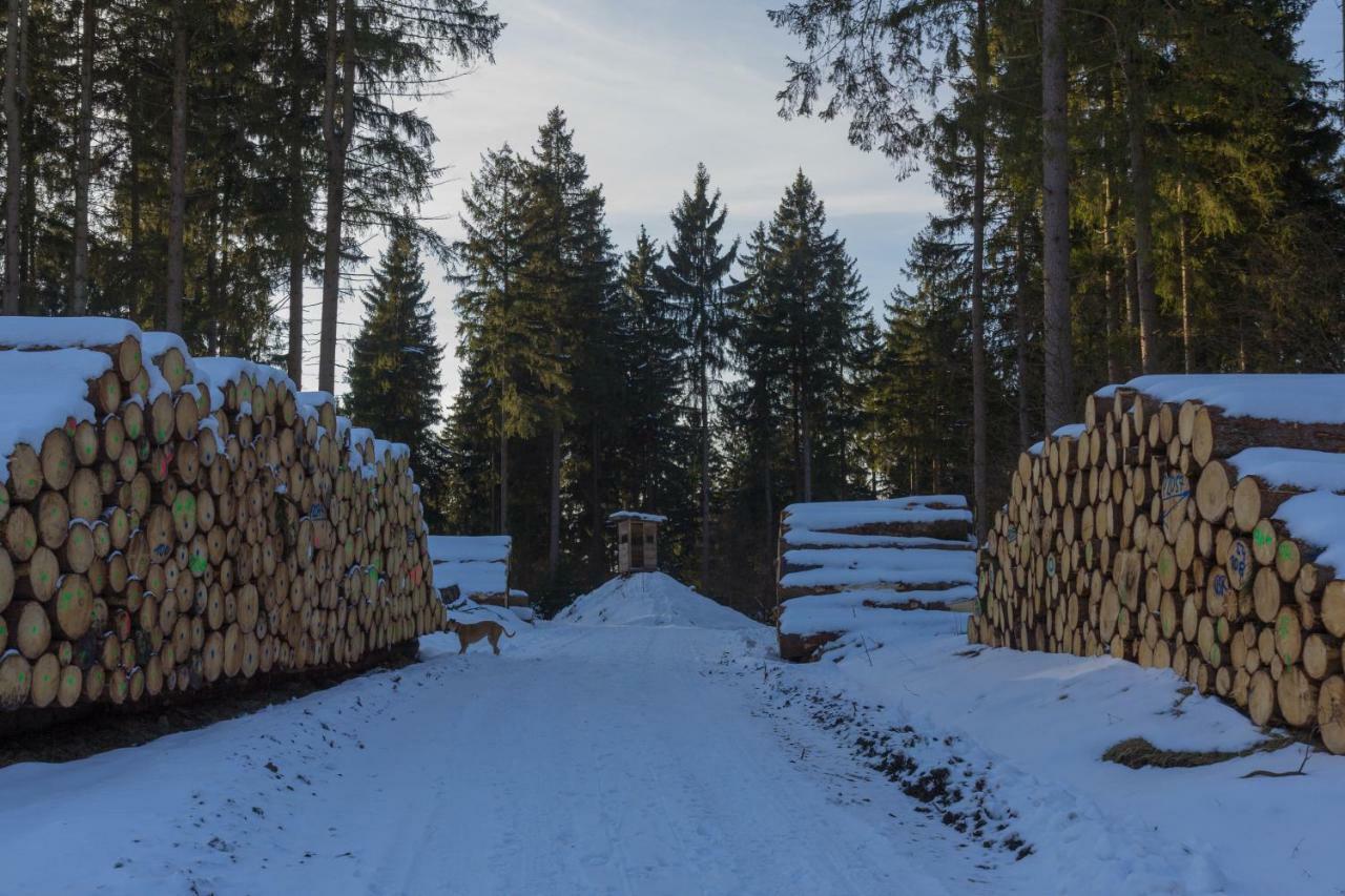 Welt Lodge Altenau  Zewnętrze zdjęcie